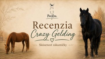 Recenzia na Pacitea Crazy Gelding: keď sa zo žrebcovského správania stane pokoj
