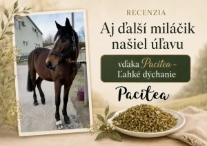 🍀💨Pacitea Ľahké dýchanie pomohlo tam, kde už nič iné nezaberalo!🐴