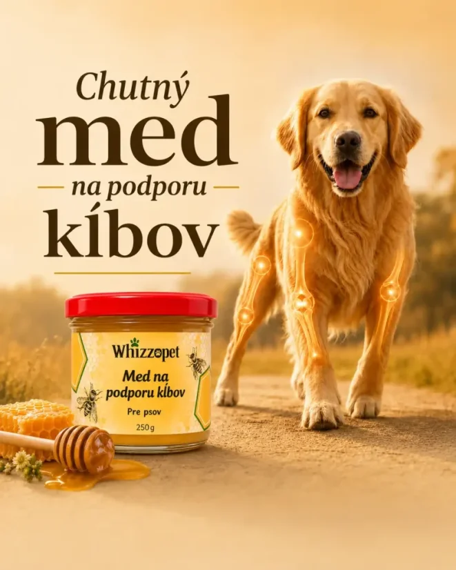 Kĺbová podpora s medom pre psy