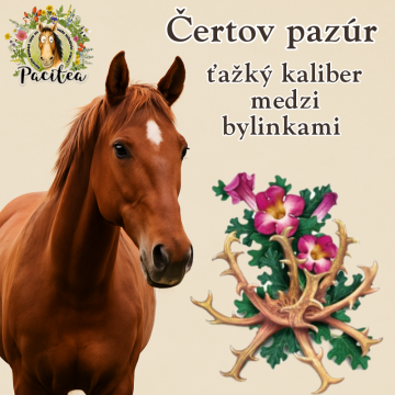 Chceli by sme vám predstaviť ťažký kaliber medzi bylinkami – ČERTOV PAZÚR. 🌿